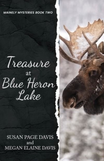 Treasure at Blue Heron Lake - Susan Page Davis - Kirjat - Tea Tin Press - 9781947079236 - keskiviikko 8. kesäkuuta 2022