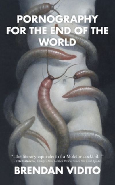 Cover for Brendan Vidito · Pornography for the End of the World (Paperback Book) (2022)