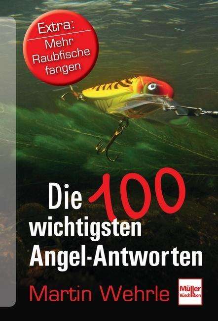 Cover for Martin Wehrle · Wehrle:100 Wichtigst.angel-antw.na (Book)