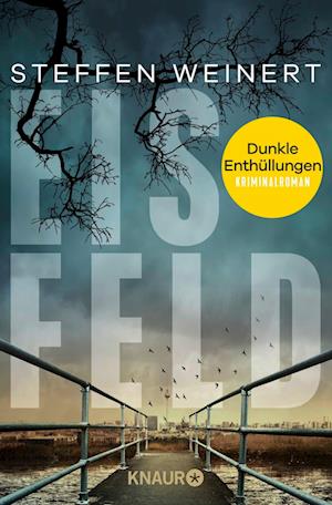 Cover for Steffen Weinert · Eisfeld – Dunkle Enthüllungen (Book) (2025)