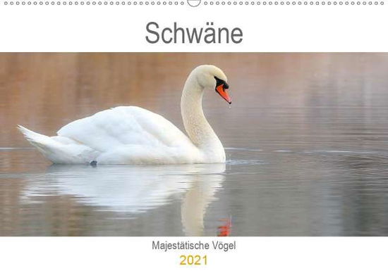 Cover for Bogner · Schwäne Majestätische Vögel (Wan (Book)