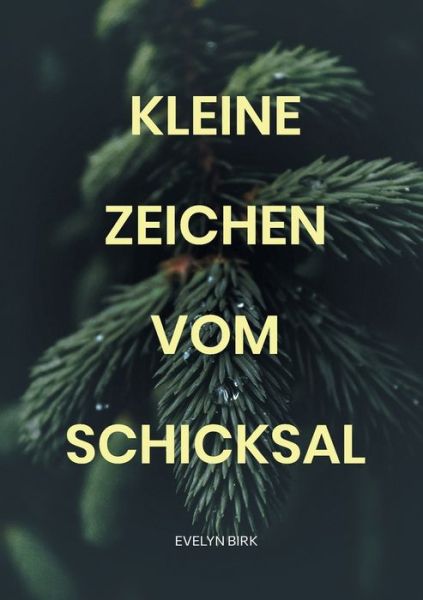 Cover for Evelyn Birk · Kleine Zeichen Vom Schicksal (Book) (2024)