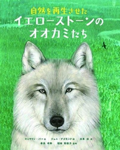 Fourteen Wolves - Catherine Barr - Books - Kagakudojin - 9784759822236 - October 20, 2021