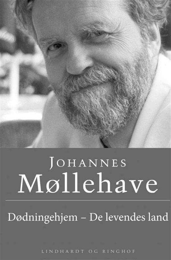 Cover for Johannes Møllehave · Dødningehjem – De levendes land (Heftet bok) [2. utgave] (2017)