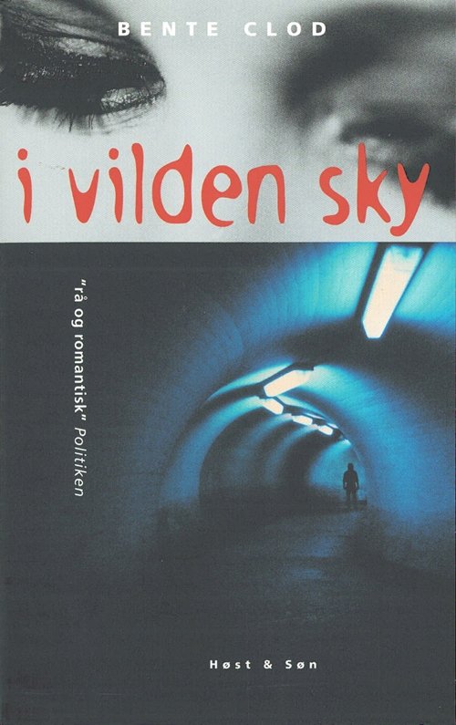 Cover for Bente Clod · I vilden sky (Sewn Spine Book) [2nd edition] (2005)