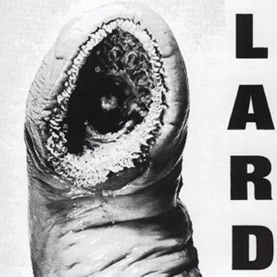 Cover for Lard · Power of Lard (LP) (2025)