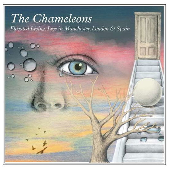 Elevated Living - Chameleons - Music - CHERRY RED - 5013929184237 - September 24, 2021