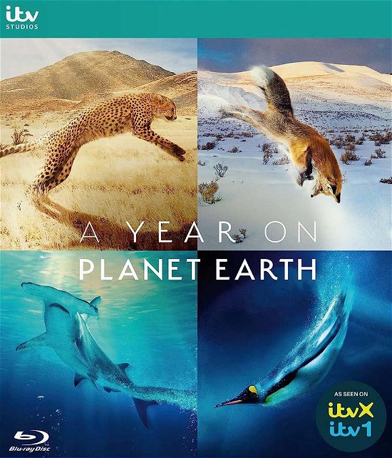 Cover for A Year on Planet Earth Bluray · A Year On Planet Earth (Blu-ray) (2023)