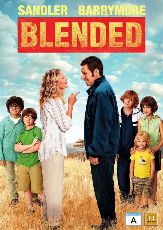 Cover for Blended (DVD) (2014)