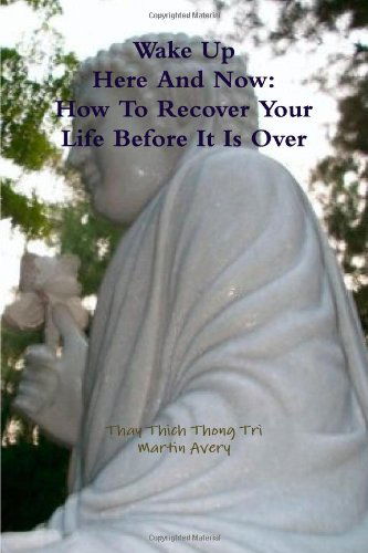 Cover for Martin Avery · Wake Up Here and Now: How to Recover Your Life Before It is over (Paperback Book) (2010)