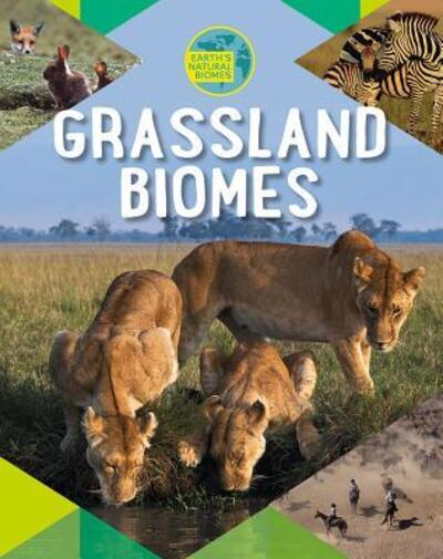 Grassland Biomes - Louise A Spilsbury - Books - Crabtree Publishing Company - 9780778741237 - January 15, 2018