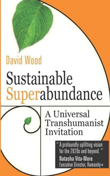 Cover for David Wood · Sustainable Superabundance : A Universal Transhumanist Invitation (Paperback Bog) (2019)