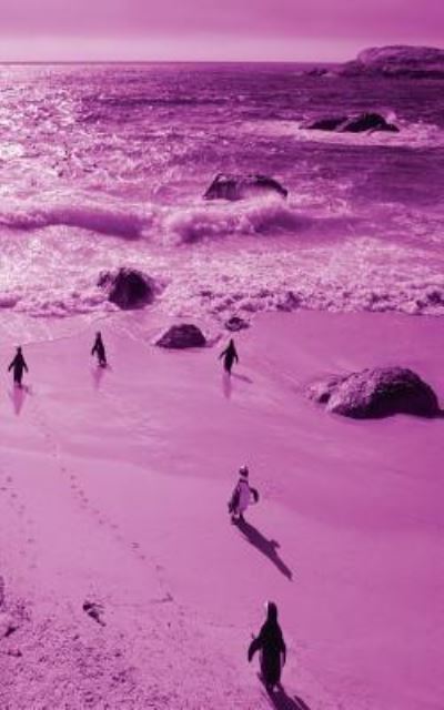 Eva-Lotta Jansson · Alive! little penguin friends - Magenta duotone - Photo Art Notebooks (5 x 8 series) (Paperback Book) (2016)