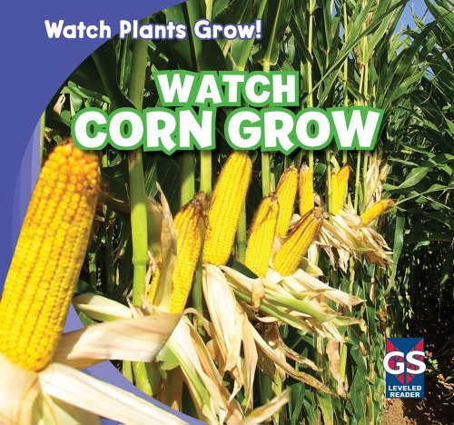Cover for Kristen Rajczak · Watch Corn Grow (Watch Plants Grow!) (Paperback Book) (2011)