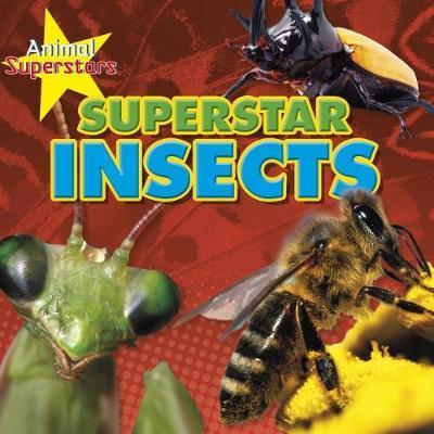 Cover for Louise Spilsbury · Insect Superstars - Animal Superstars (Hardcover Book) (2018)