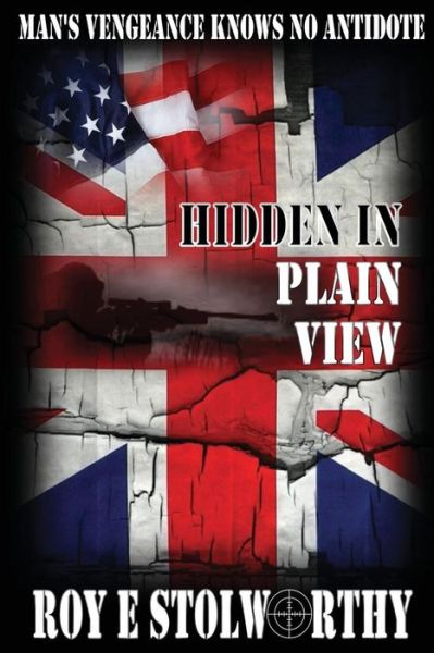 Cover for Roy E Stolworthy · Hidden in Plain View (Paperback Book) (2013)