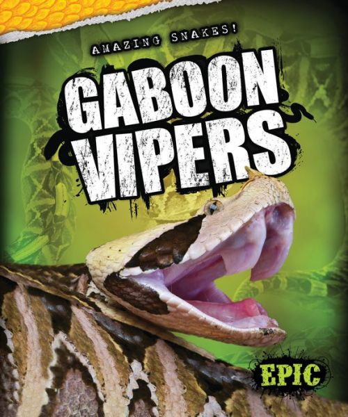 Cover for Chris Bowman · Gaboon Vipers (Amazing Snakes!) (Hardcover Book) (2014)