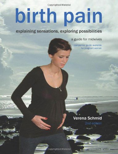 Cover for Verena Schmid · Birth Pain: Explaining Sensations, Exploring Possibilities (2nd Ed) (Pocketbok) [2nd British Ed edition] (2011)