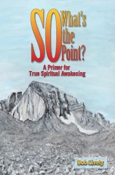 So What's The Point? - Bob Lively - Books - Treaty Oak Publishers - 9781943658237 - August 16, 2017