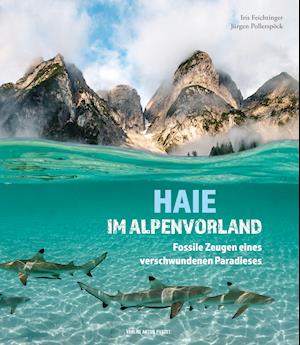 Cover for Iris Feichtinger · Haie im Alpenvorland (Paperback Book) (2021)