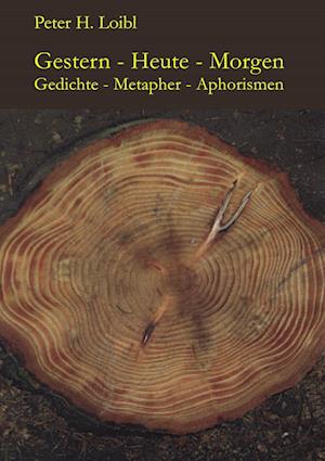 Cover for Peter H. Loibl · Gestern - Heute - Morgen (Paperback Book) (2010)