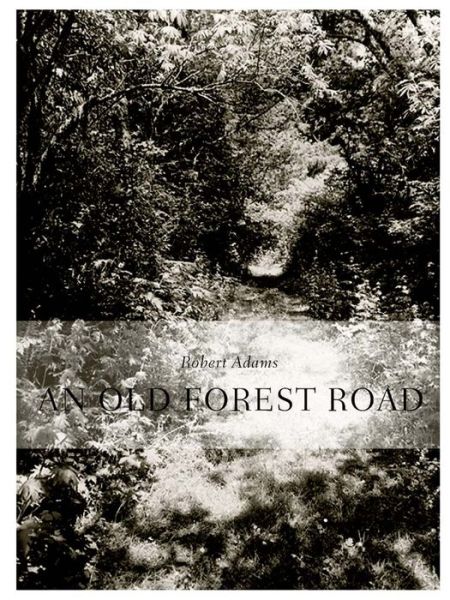 Cover for Henry David Thoreau · Robert Adams: An Old Forest Road (Hardcover Book) (2017)