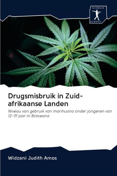 Cover for Amos · Drugsmisbruik in Zuid-afrikaanse L (Bok) (2020)