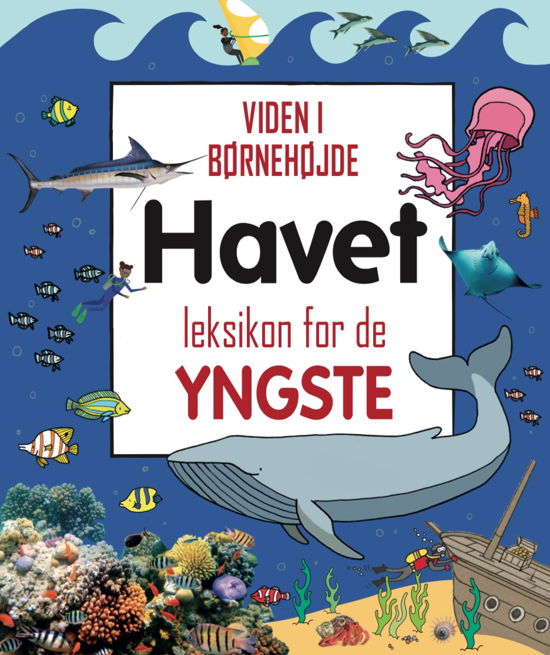 Cover for Leksikon for de yngste: Havet - Leksikon for de yngste (Gebundesens Buch) [1. Ausgabe] (2022)