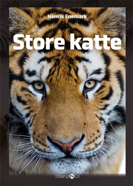 Cover for Henrik Enemark · Maxi: Store katte (Gebundenes Buch) [1. Ausgabe] (2020)