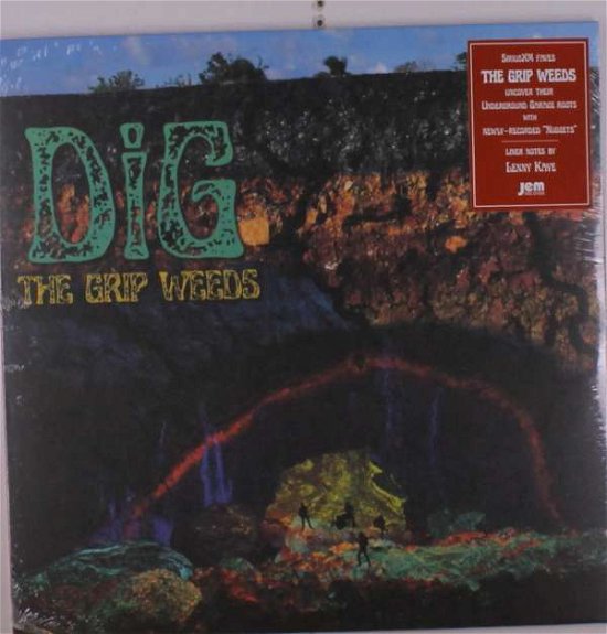 Cover for Grip Weeds · Dig (LP) (2021)