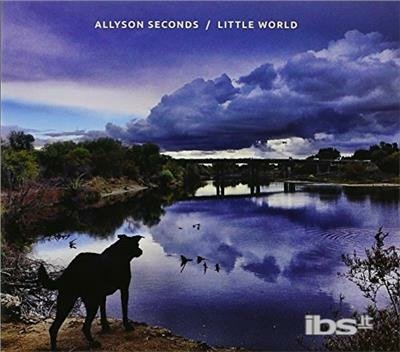 Little World - Allyson Seconds - Música - CDB - 0190394609238 - 21 de outubro de 2016