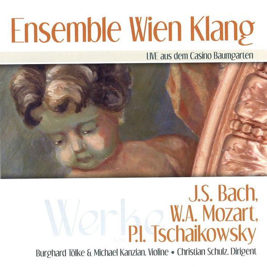 Cover for Wien Klang Ens · Ensemble Wien Klang Live (CD) (2014)