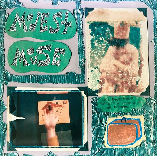 Cover for Modest Mouse · Sad Sappy Sucker (LP) (2014)