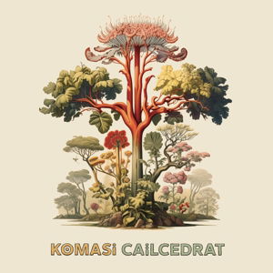 Cover for Komasi · Cailcedrat (CD) (2024)