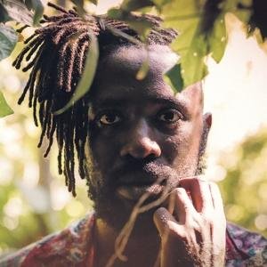 Kele Okereke · Fatherland (LP) (2017)
