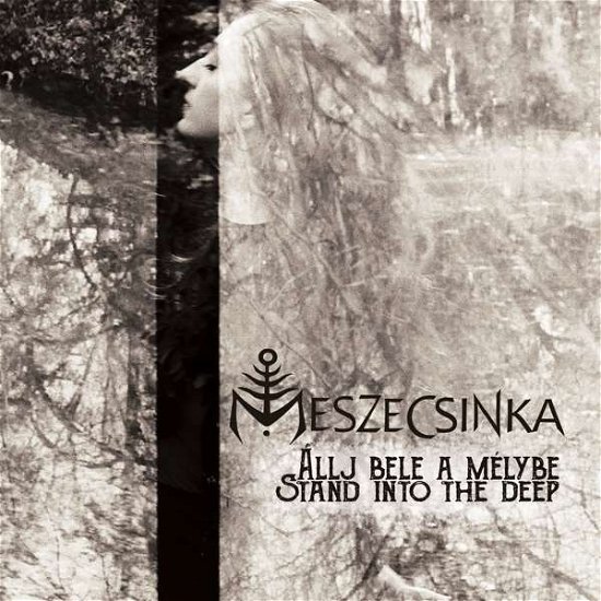 Cover for Meszecsinka · Allj Bele A Melybe - Stand Into The Deep (LP) (2019)