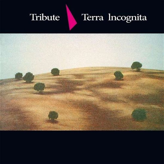 Terra Incognita - Tribute - Musikk - SIREENA - 4260182981238 - 19. mai 2016