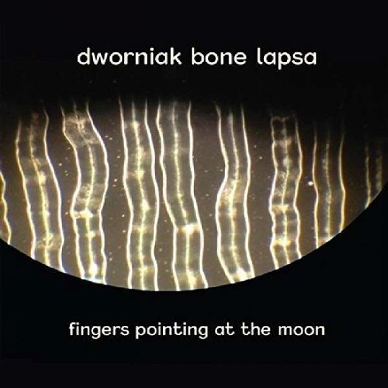Cover for Dworniak Bone Lapsa · Fingers Pointing At The Moon (CD) (2018)
