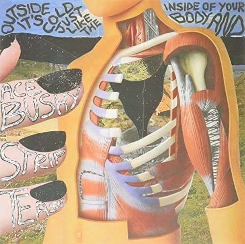 Cover for Ace Bushy Striptease · Outside It's Cold Just Like the Inside of Your Bod (LP) (2012)