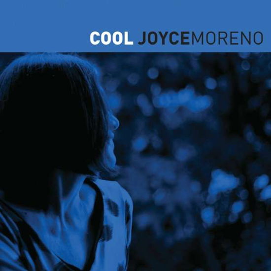 Cool - Joyce Moreno - Musik - Far Out - 5060211503238 - 9 december 2016