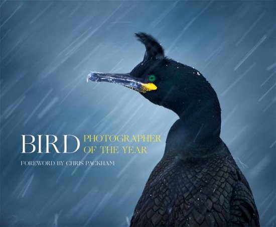 Cover for Bird Photographer of the Year (Hardcover bog) (2016)