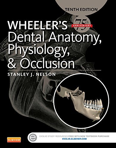 Cover for Nelson · Wheeler's Dental Anatomy, Physio (Book) [10 Revised edition] (2014)