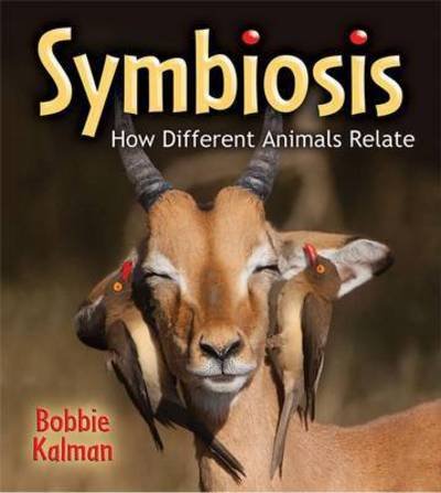 Cover for Bobbie Kalman · Symbiosis: How Different Animals Relate - Big Science Ideas (Paperback Book) (2016)