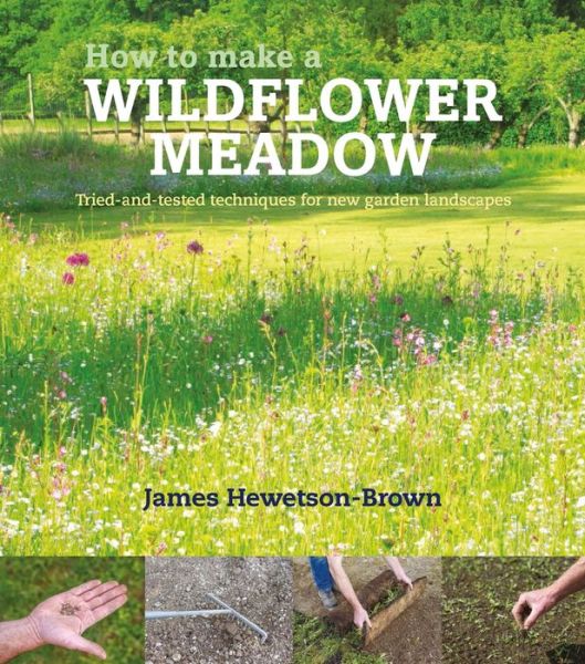 Cover for James Hewetson-Brown · How to make a wildflower meadow: Tried-And-Tested Techniques for New Garden Landscapes (Inbunden Bok) (2016)