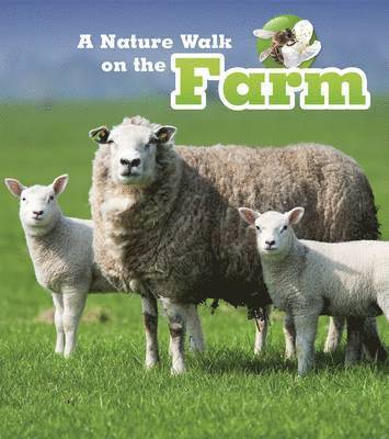 A Nature Walk on the Farm - Louise Spilsbury - Other - Pearson Education Limited - 9781406282238 - August 13, 2015