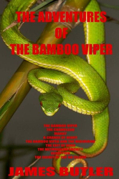 Cover for James Butler · The Adventures of the Bamboo Viper (Paperback Book) (2014)