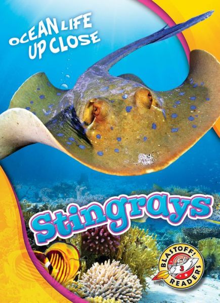 Cover for Rebecca Pettiford · Stingrays - Ocean Life Up Close (Hardcover Book) (2019)