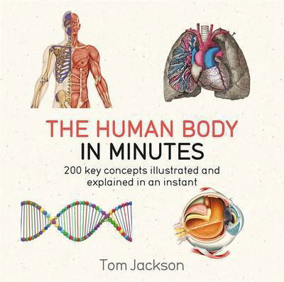 The Human Body in Minutes - In Minutes - Tom Jackson - Bøker - Quercus Publishing - 9781786481238 - 4. mai 2017