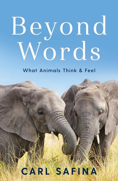 Cover for Carl Safina · Beyond Words: What Animals Think and Feel (Taschenbuch) [Main edition] (2020)