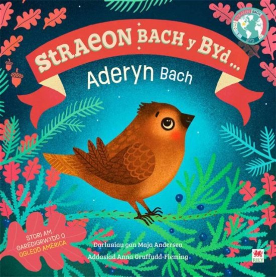 Cover for Dk · Aderyn Bach, Yr / Little Bird, The (Cyfres Straeon Bach y Byd) (Pocketbok) [Bilingual edition] (2023)